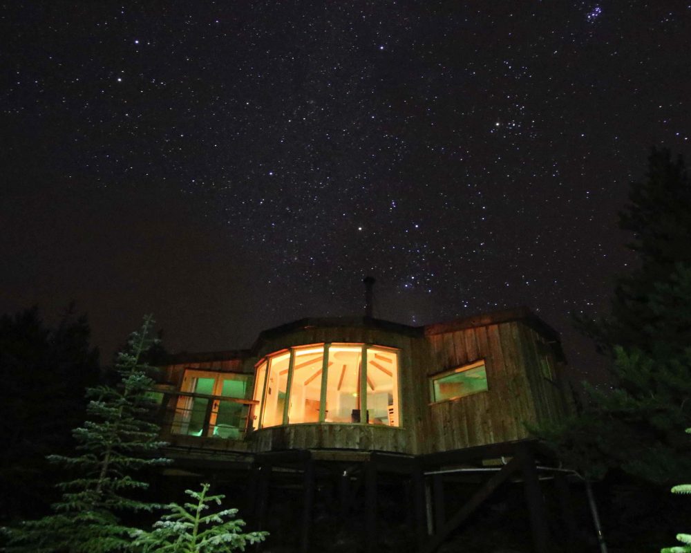 treehouse stars